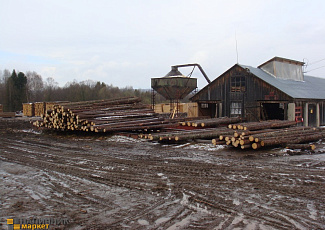 Пилорама распускает круглый лес (кругляк) на обрезную доску
