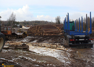 Площадка для хранения круглого леса (кругляка)
